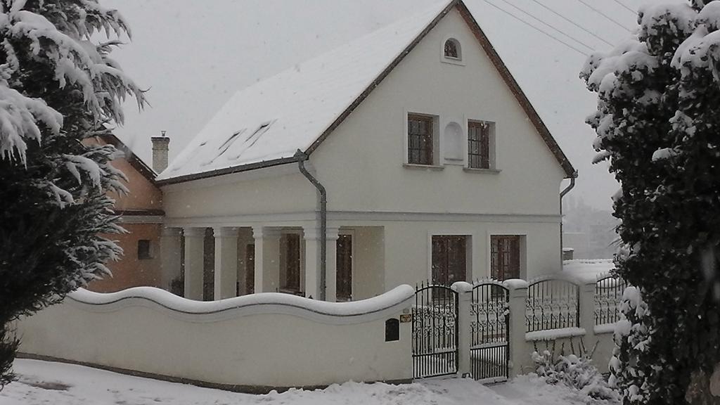 Amadeus Vendeghaz Hotel Esztergom Luaran gambar